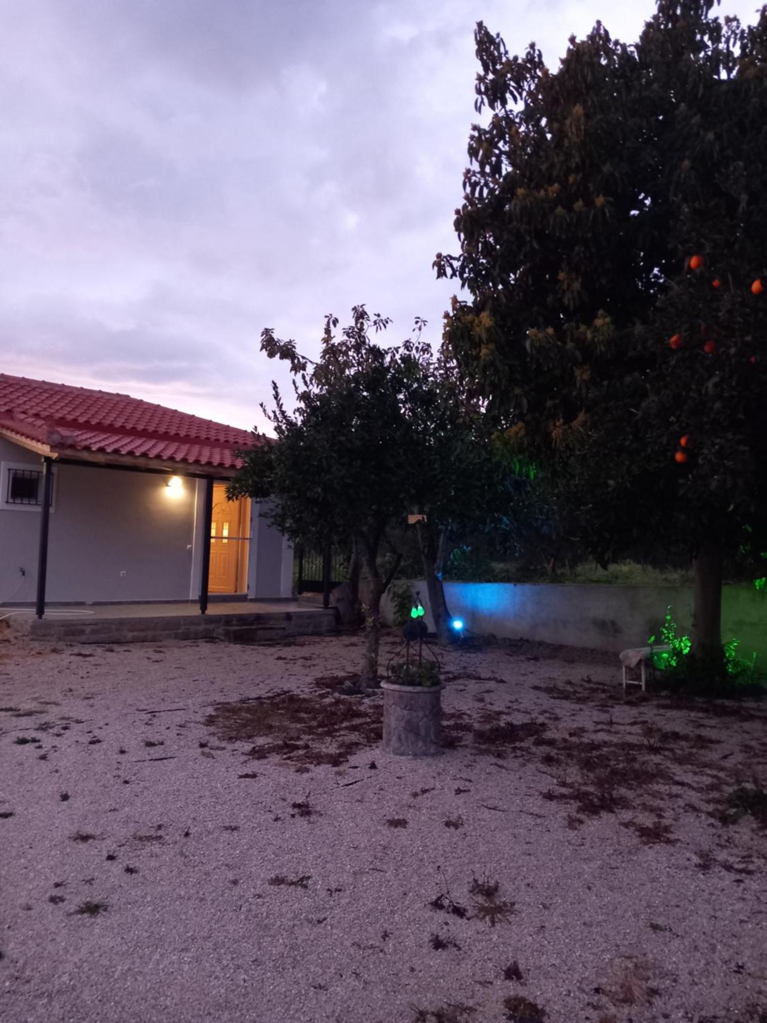 Вілла Avocado House Фінікунда Екстер'єр фото
